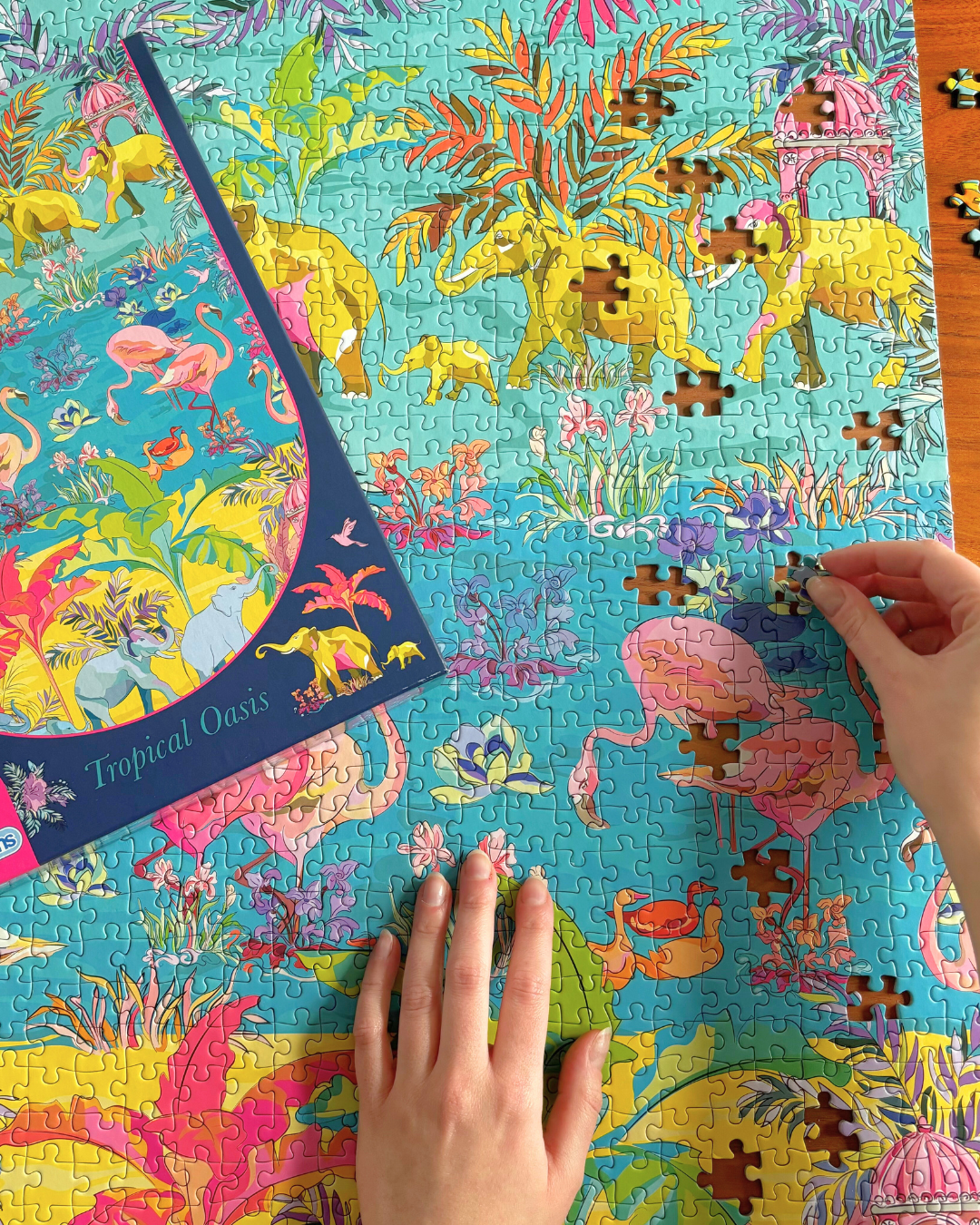 HoT: Tropical Oasis