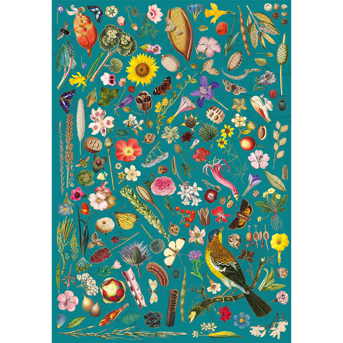 RHS Floral Fantasy