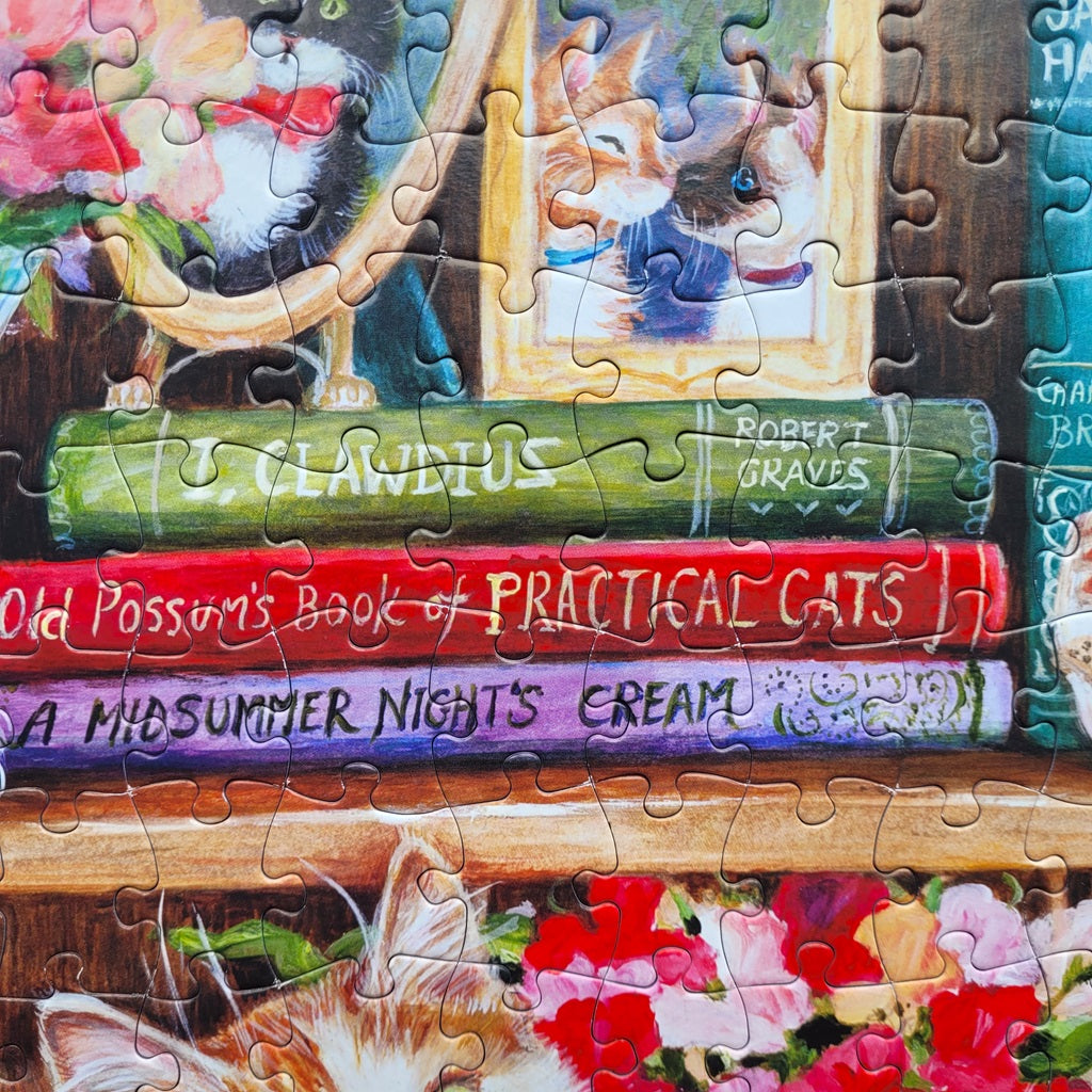 Puss Back in Books Extra Large