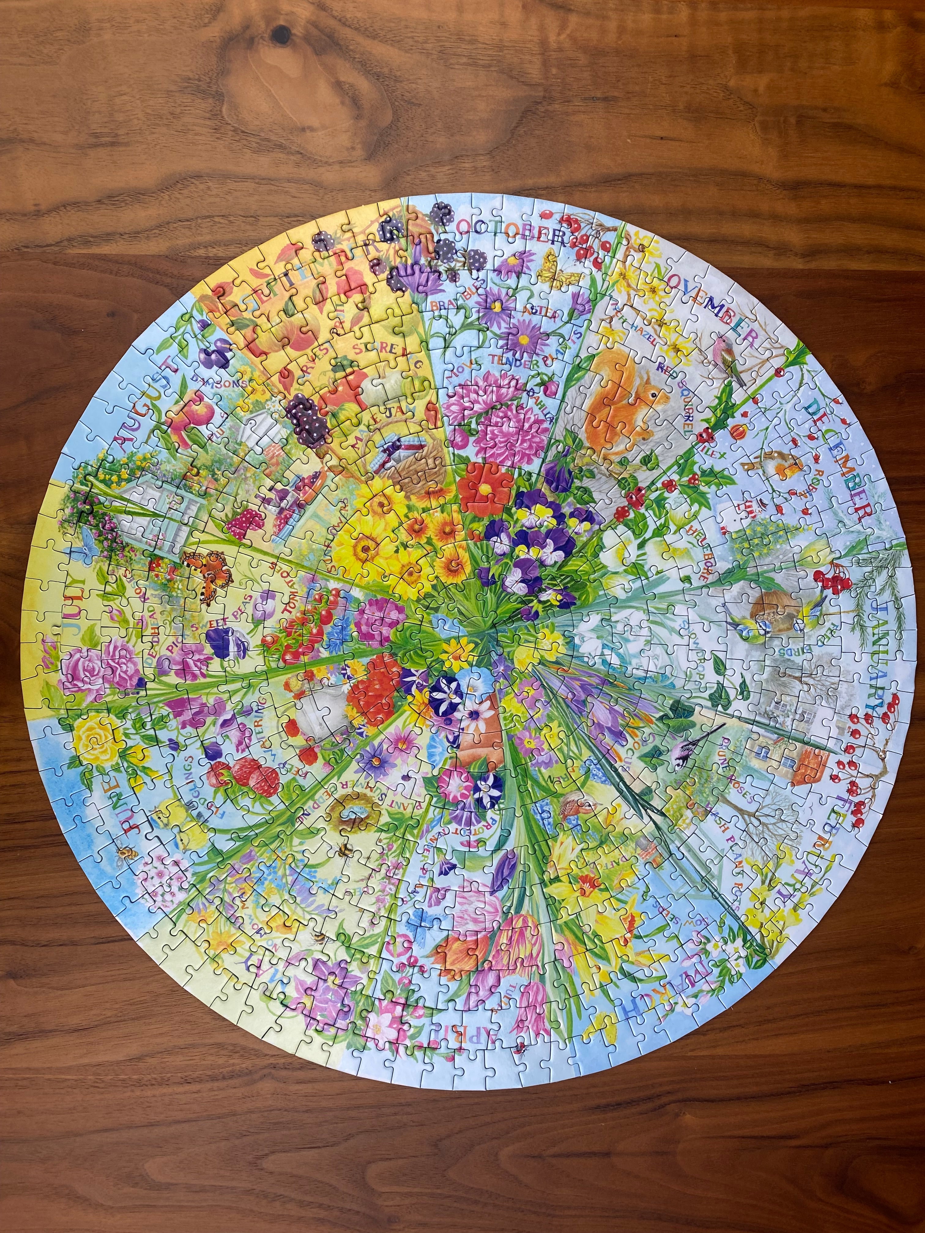 A Year in the Garden