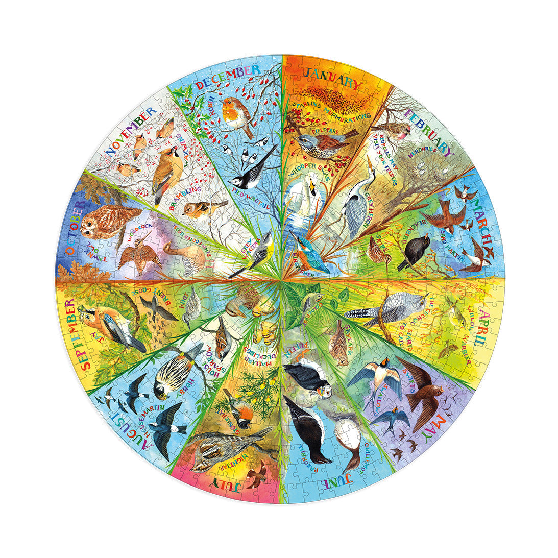 RSPB Birds of the Year