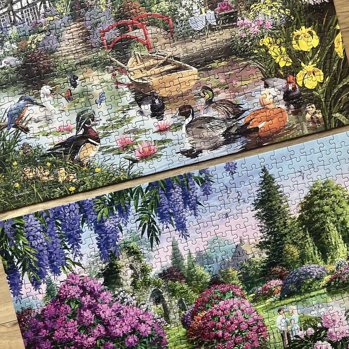 Flora and Fauna
