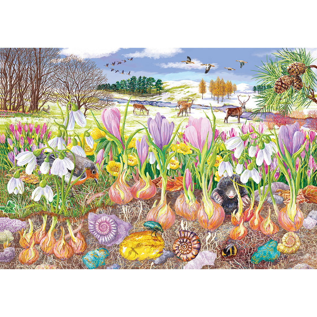 Roots and Shoots