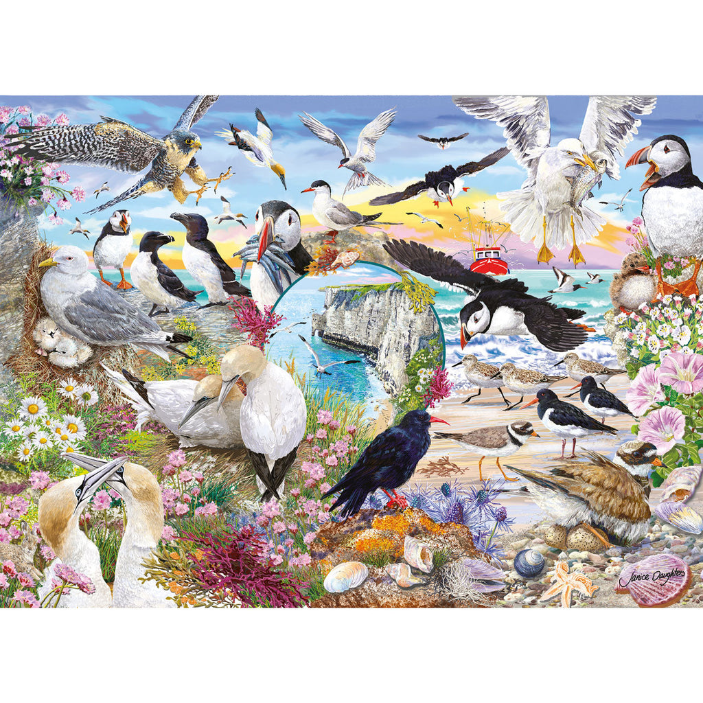 RSPB Wings in the Wild
