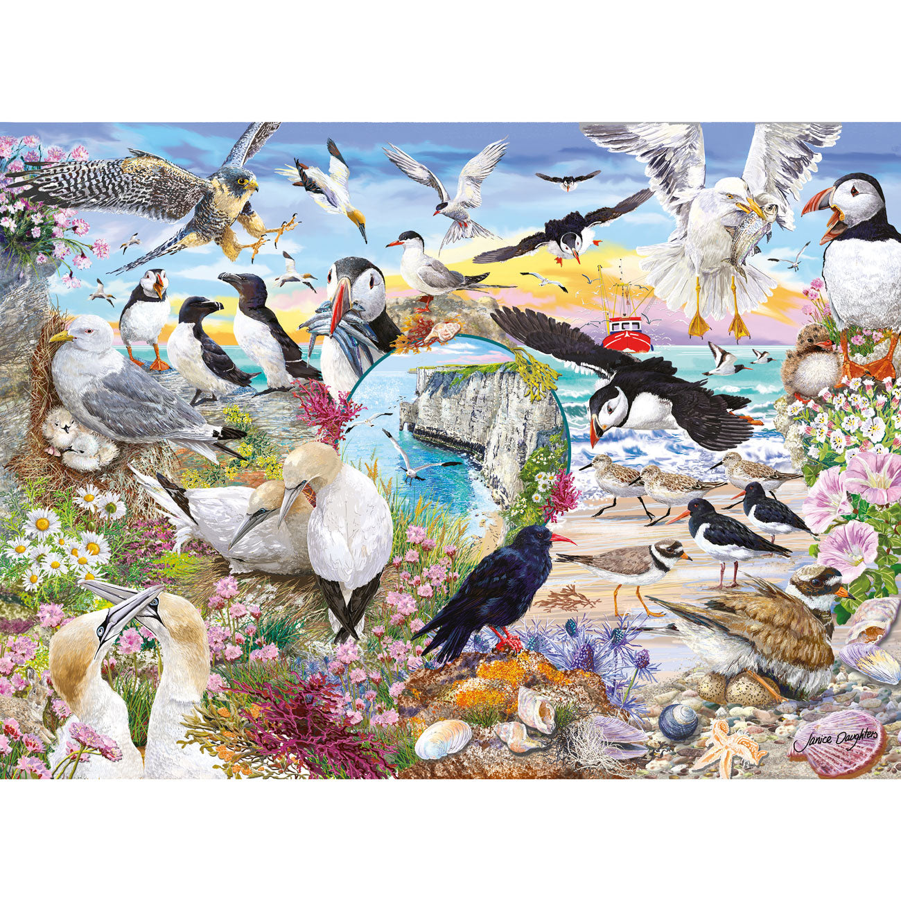 RSPB Wings in the Wild