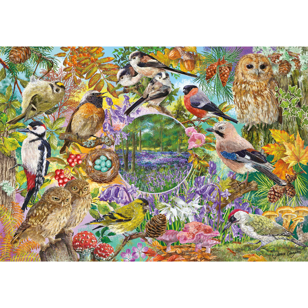 RSPB Wings in the Wild