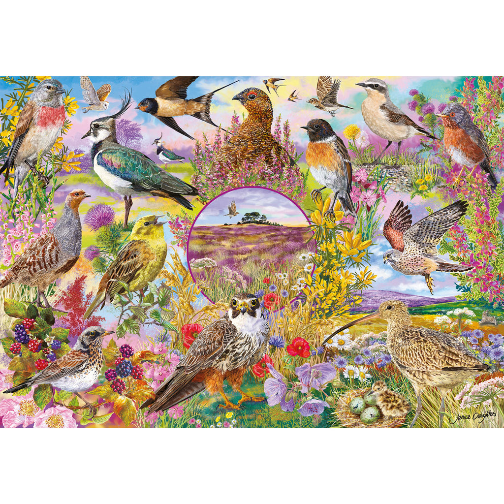RSPB Wings in the Wild
