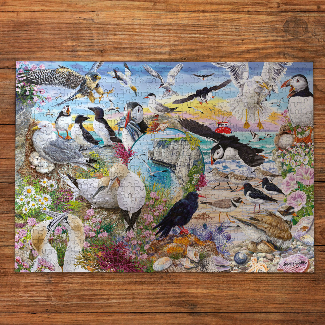 RSPB Wings in the Wild