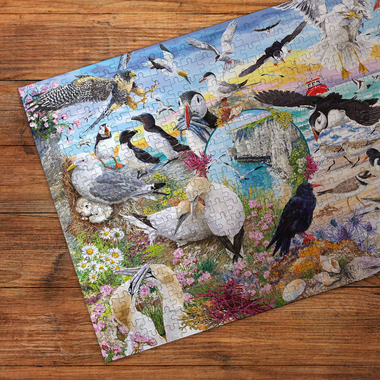RSPB Wings in the Wild