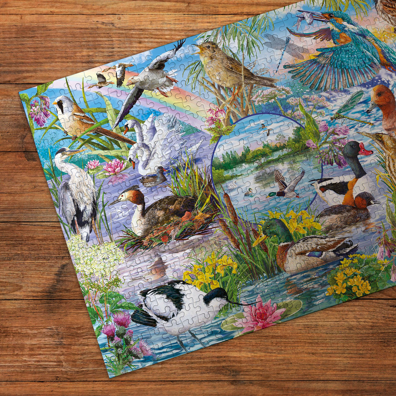 RSPB Wings in the Wild