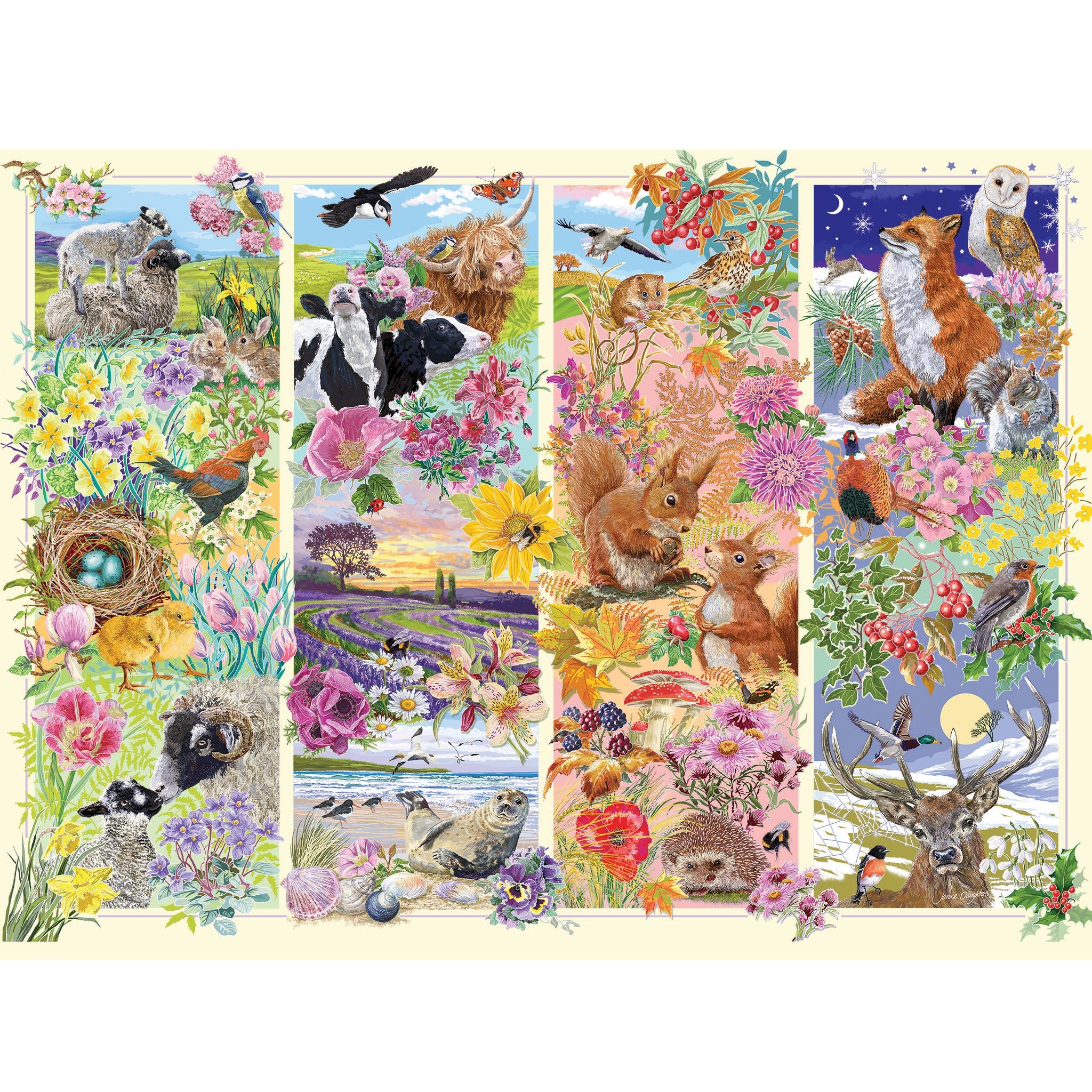 Through the Seasons
