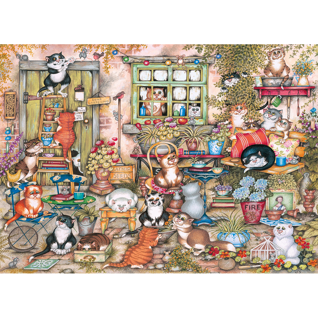 Courtyard Cats