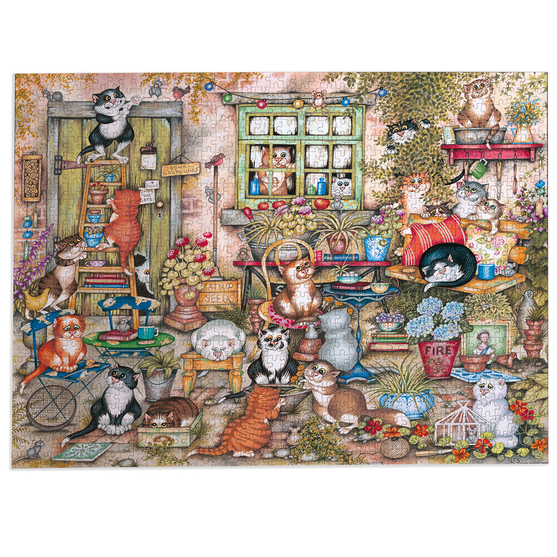 Courtyard Cats