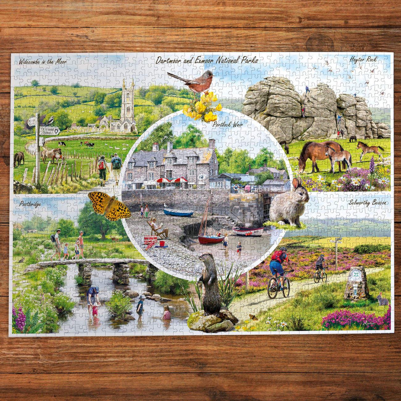 Dartmoor & Exmoor