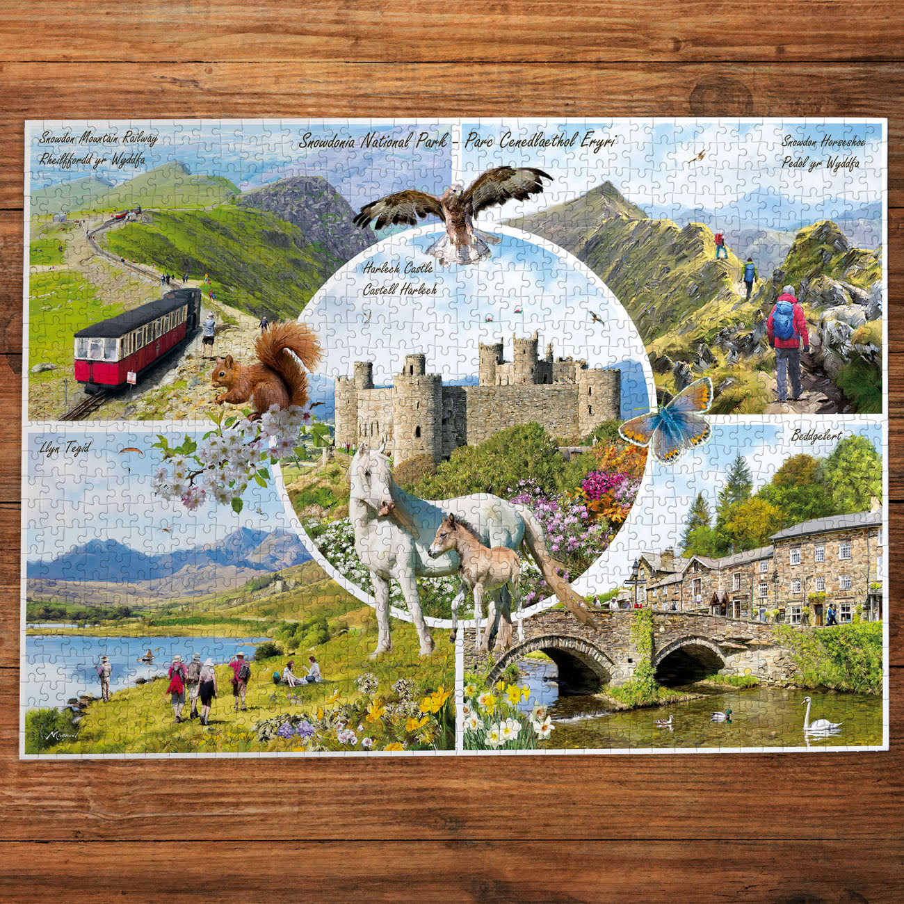 Snowdonia