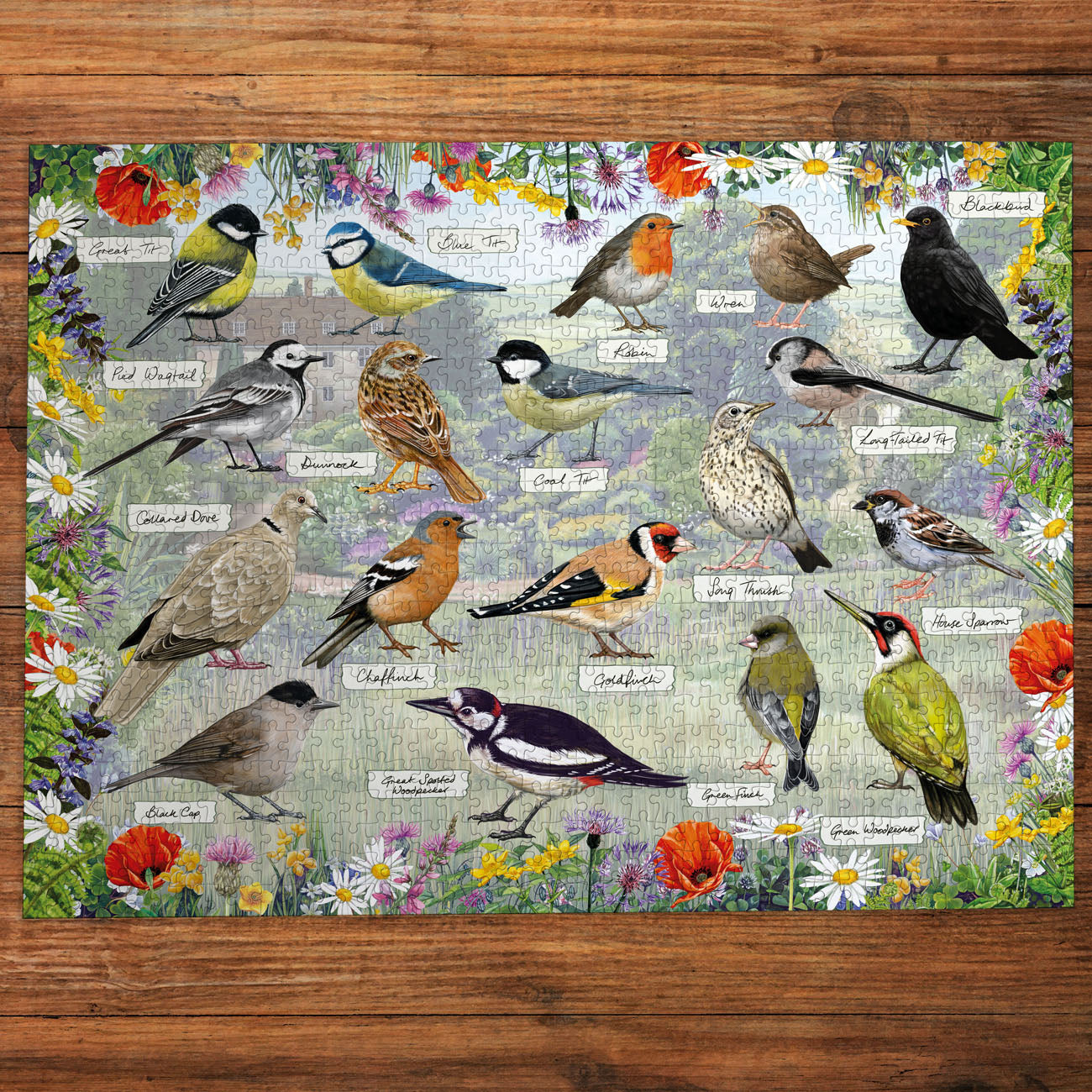 RSPB Blissful Birds