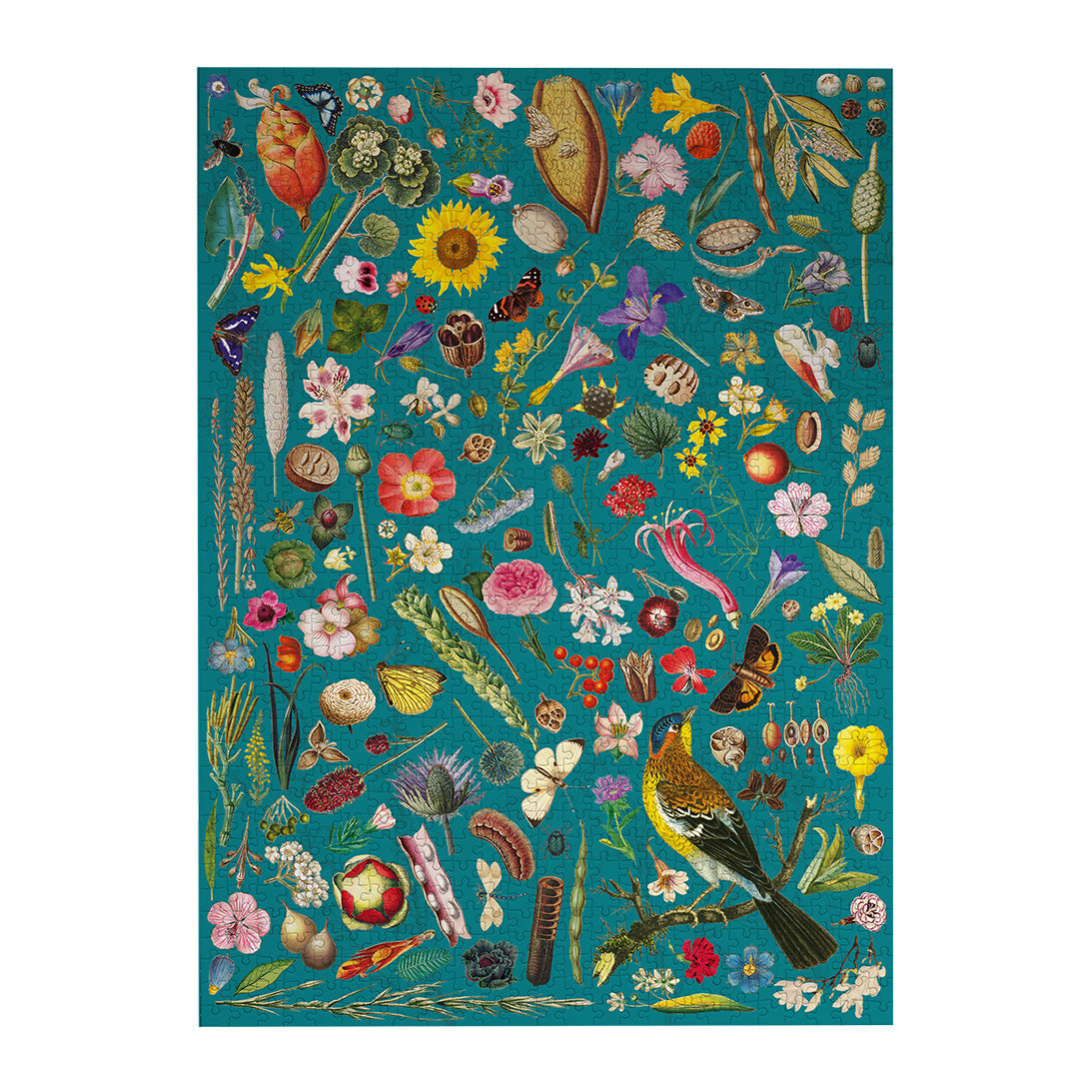 RHS Floral Fantasy