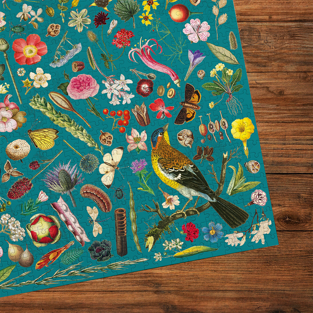 RHS Floral Fantasy