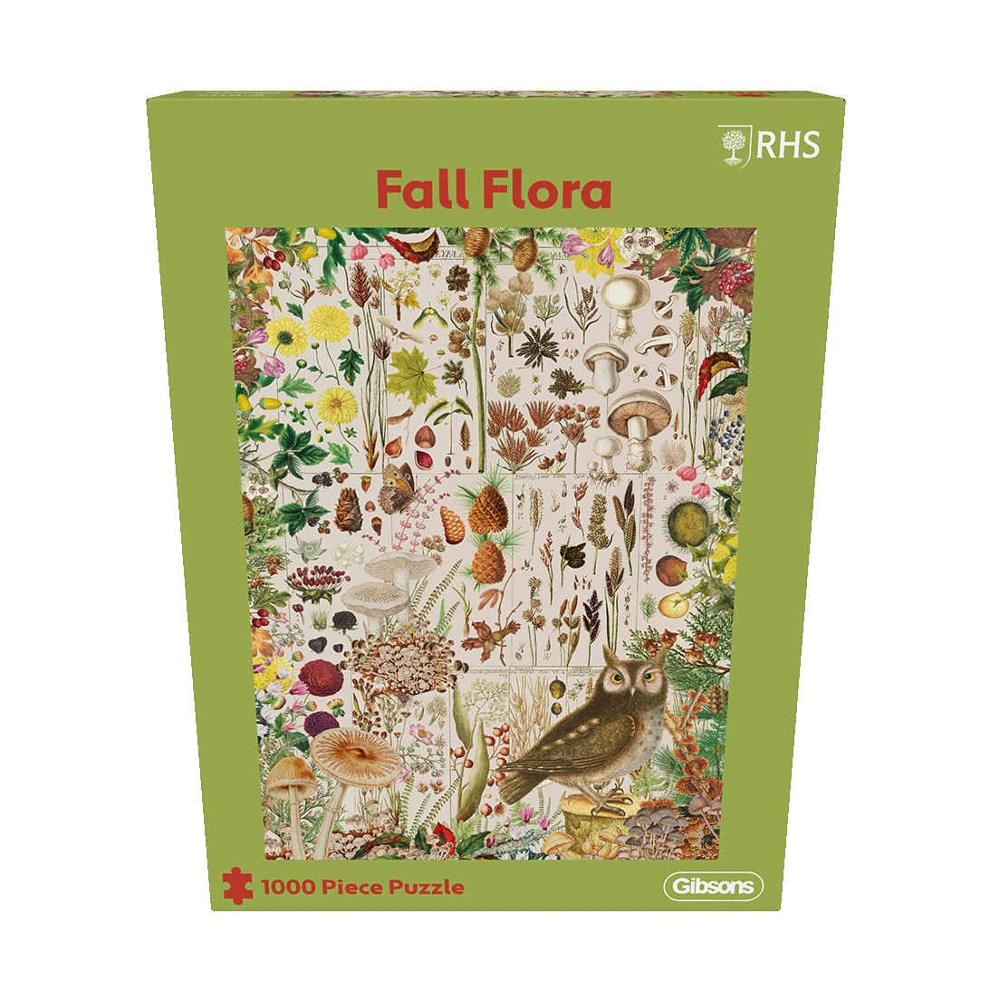 RHS Fall Flora