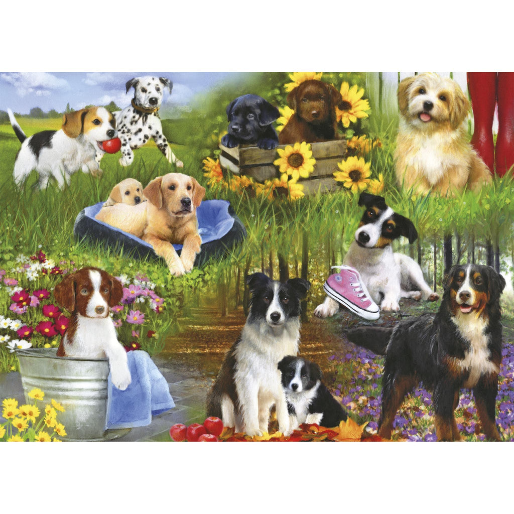 Dogs