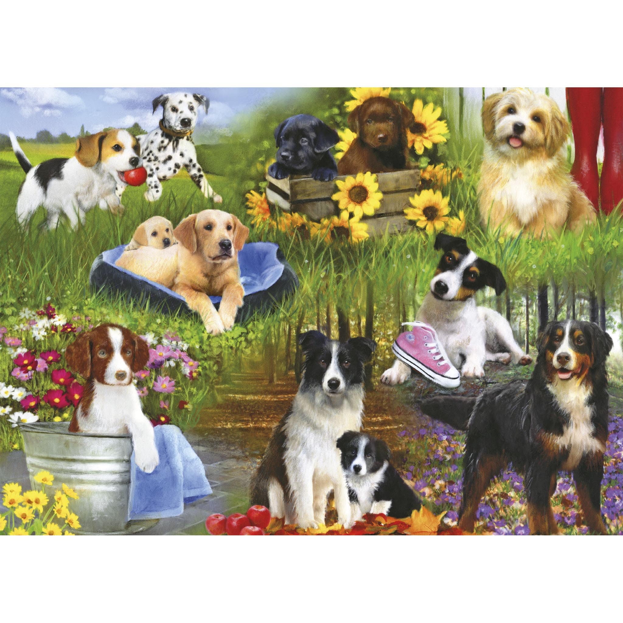 Dogs