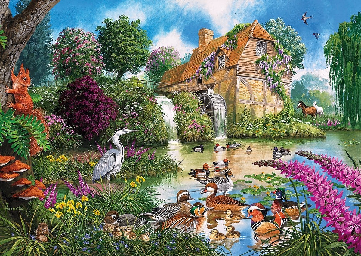Flora and Fauna